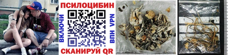 Псилоцибиновые грибы прущие грибы Ершов